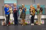 Shows-Hajsi - zdjęcie 18